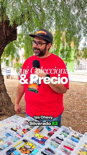 ¿Qué tipo de Hot Wheels coleccionas? ¿En cuanto cuestan?