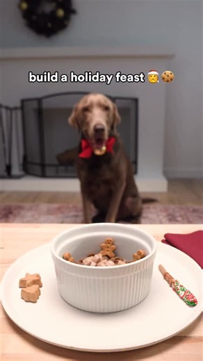 From savory gravies to gingerbread biscuits, go feast mode with 20% off all their faves sitewide🎄🍽️ stock up before the holidays & serve up something special this season ✨ *Exclusions apply. See site for details | Petco