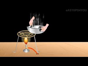 Dissolving of Sugar | An Example of Physical Change in English