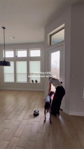 Morning Routine with Dogs and Moving Day Fun