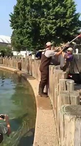 12K views · 583 reactions | 45 varieties of Minnesota fish are stocked in the DNR Fish Pond this morning! #mnstatefair #CountingDown | Minnesota State Fair | Facebook