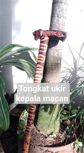 tongkat ukir kepala macan finishing solder lukis bakar #motivation #automobile #snake