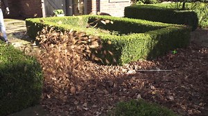 1K views | THE BACKPACK BLOWER THAT PACKS A PUNCH Big jobs need big power. And that’s what the EGO Power+ backpack blower delivers. With the ability to blow over 1020m3 of air per hour on Turbo Boost mode, the leaves don’t stand a chance. With up to 2 hours run time, you can cover plenty of ground too. | EGO Power Plus | Facebook