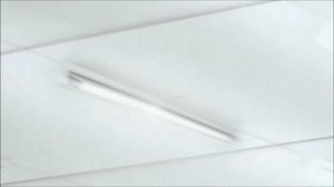 Philips 32-Watt Equivalent 4 ft. T8 Instant Fit Linear LED Light Bulb Cool White (4000K) 434605