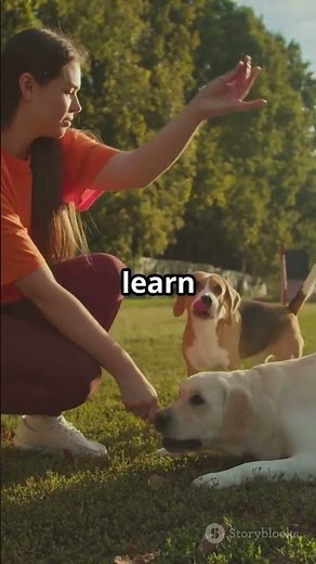 5 Mind-Blowing Facts About Dogs! Dog facts