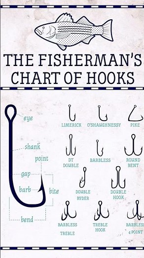 🎣 Secret Hook Chart for An Expert Angler 💯