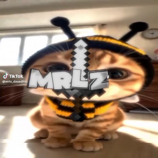 Incrível Edição de Floppa com Batimento 2