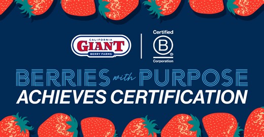 California Giant Achieves B Corporation Certification on Its Journey to Be the Most Sustainable Fresh Berry Company in the World; Joe Barsi and Catherine Campbell Comment
