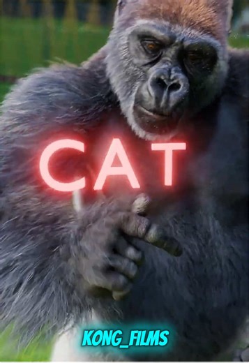 Can a gorilla learn sign language❓#interestingfacts #fact #facts #lifehack #lifehacks