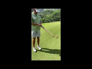 Honu Putter Golfs best gift