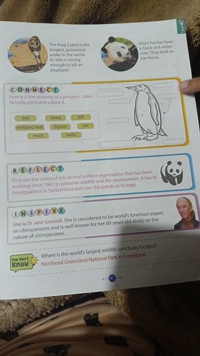 Here is a line drawing of a penguin. Label its body parts and c... | Filo