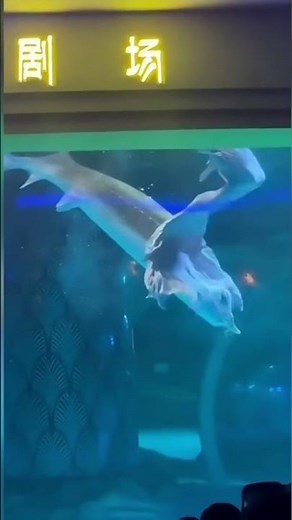 Giant Fish Swallows Woman's Entire Head