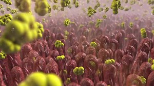 8.1K views · 26 reactions | What's the big deal about clinical...