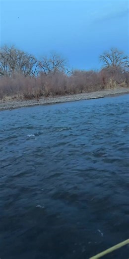 After a rough day in the wind yesterday first cast this morning landed this beautiful 20” trout. She was camera shy for sure! After Iet her go she took the egg again while it was just drifting behind me. lol never had that happen before. #fyp #trending #fishing #fishinglife #viral