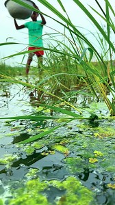 Unique Fishing Traps #fishinglife #Amazing #reels | Amazon Fishing Life