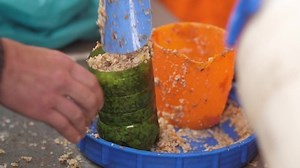 Homeless People Get Food Stock Footage Video (100% Royalty-free) 1029854045 | Shutterstock