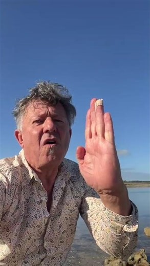 Le Mooc à Jaulin - Les différents poissons 🐟