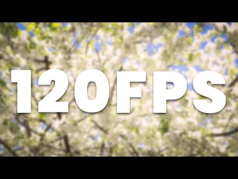 Canon R6 Mark II 120FPS Sample Footage Spring Colors in 1080p Slow Motion