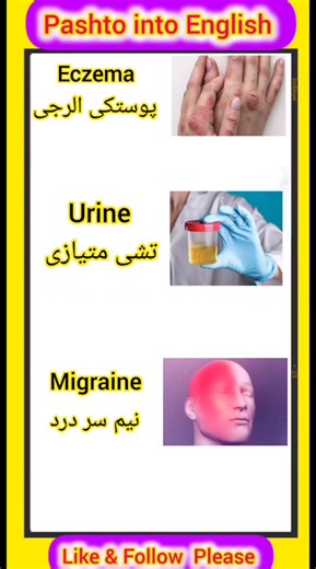 Types of Diseases Explained