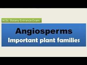 How to read efficiently Angiosperm plant families