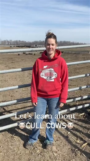 6.9K views · 100 reactions | Yesterday we shipped 5 loads of cull...