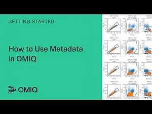 How to Use Metadata in OMIQ