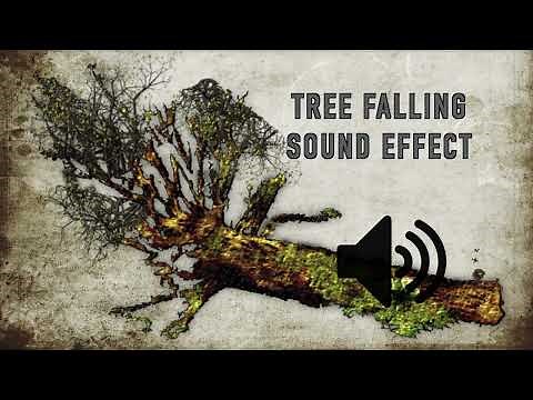 Tree Falling Sound Effect - High Quality