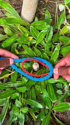 Two-Color Rope Loop Trick You Should Know! 🪢 #survival #lifehacks #shorts