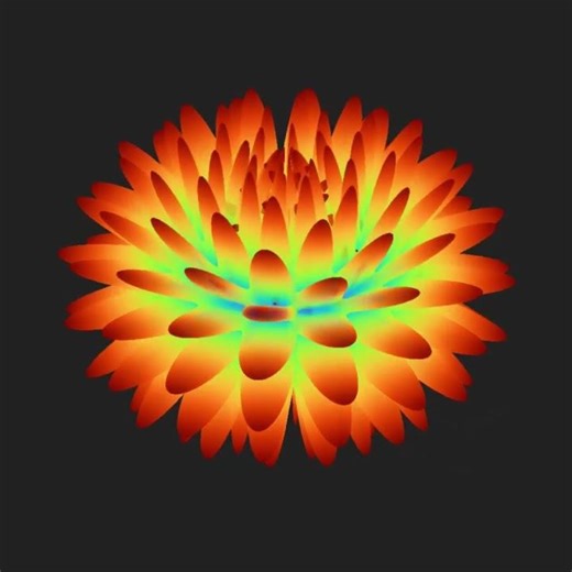 The Thousand Petalled Lotus