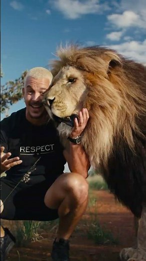 $$$ Billionaire Saves all Animals?
