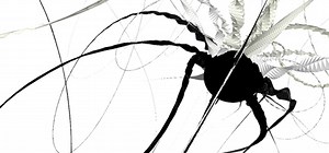 built with processing 06