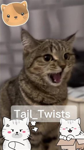 Cuteness Explosion 😻 | The Most Adorable Kittens Ever Caught on Camera!