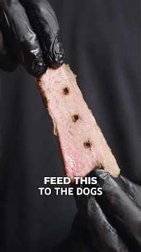 EVERY Way to Cook Brisket