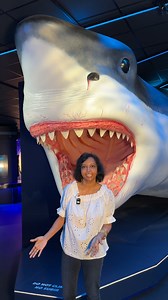 Here's everything you need to know for your #springbreak trip to HMNS! 🧠🦕🦈🦋 From parking to food and sharks to butterflies, we've got you covered. | Houston Museum of Natural Science