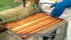 Penn Station East Coast Subs Menu Prices