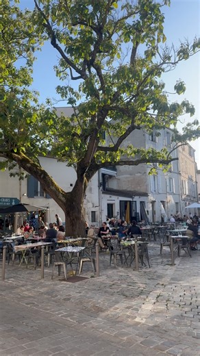 Amélie☀️ Contenu lifestyle à La Rochelle & Bordeaux on Instagram: "Et toi, tu vis dans quelle ville ? 😉 C’est officiel : selon le dernier palmarès de l’association des villes et villages de France 🇫🇷, La Rochelle grimpe en 6ème position du top des villes où il fait bon vivre ! 😎 Eh oui, La Rochelle : c’est une ville animée tout au long de l’année, où le climat est plutôt agréable (malgré les tempêtes !), on y retrouve un large choix de restaurants, d’activités à f
