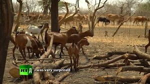 2.8K views · 18 reactions | Bride Trade. Fighting Tanzania's child bride tradition. LIKE Made In Africa | Made In Africa | Facebook