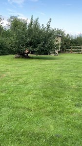 Elmo’s doing the bbq tonight 🥩 🍗 🍖 | The Daily Hobson