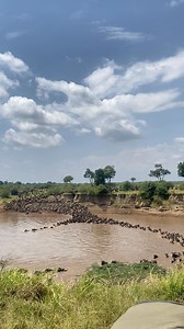1M views · 18K reactions | Wildebeest Sightings from Serengeti...