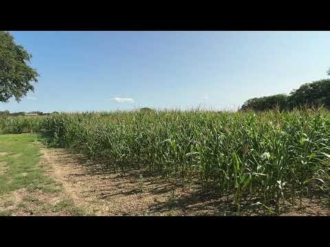 How to navigate using crops
