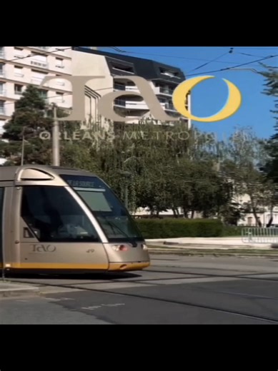 #tramorlean#tao#orlean#tramay