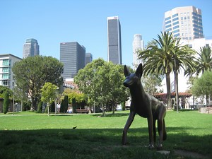 Community Colleges in Los Angeles