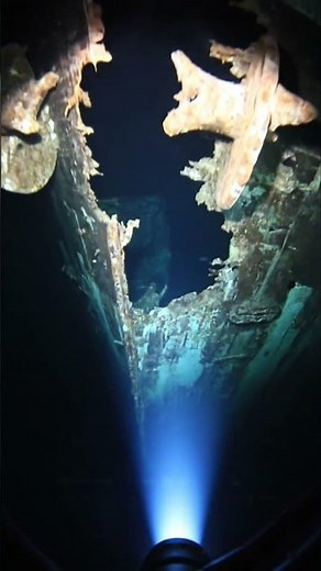 Exploring the Depths: Inside a Sunken Shipwreck