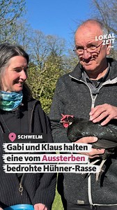 103K views · 1K reactions | Was aussieht wie ein Hühner-Spa, ist ein echtes Herzensprojekt von Gabi und Klaus in Schwelm.  | WDR Lokalzeit | Facebook