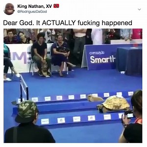 omg | Everything Student