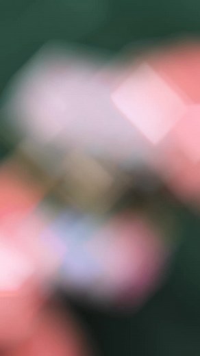 A portrait carved in stone (or jasperware). This antique cameo ring shows the fine hand-carving and classical imagery that made cameos a staple of 19th-century jewelry. Tiny details, centuries of craft, and a quiet sense of history. Available now at gildedroach.com #GildedRoach #CameoRing #AntiqueJewelry #VictorianJewelry #HeirloomJewelry #FineJewelry #QuietLuxury #EstateJewelry #CarvedGemstone | Gilded Roach