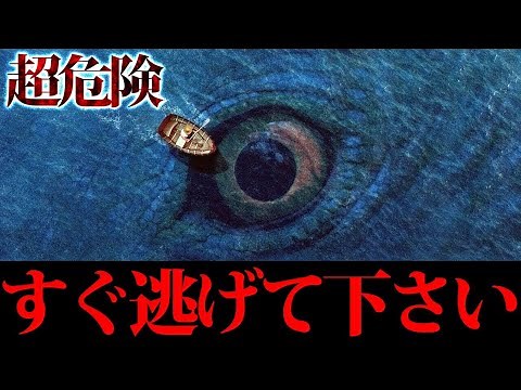 [Shocking] The ecology of the mysterious dangerous creature SCP is so scary that it's full of thi...