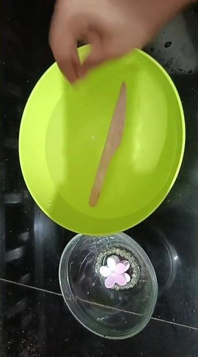 Sinking & Floating Experiment | Grade 6 Science by Aysha Fiza