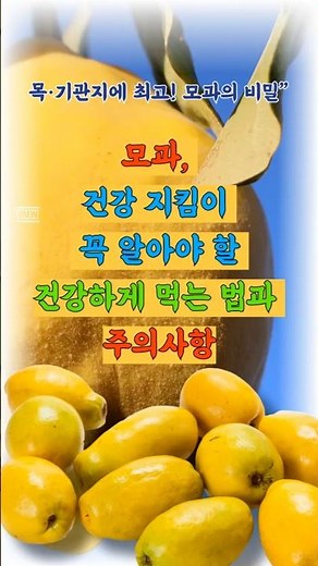 모과, 건강 지킴이 꼭 알아야 할 건강하게 먹는 법과 주의사항/목·기관지에 최고! 모과의 비밀”