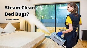 Does Steam Cleaning Kill Bed Bugs? (READ THIS FIRST) - Cleaners Talk